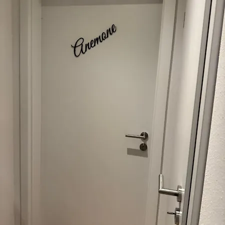 Haus Schwalbennest Apartman *